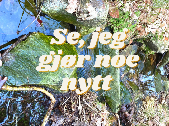 Se, jeg gjør noe nytt